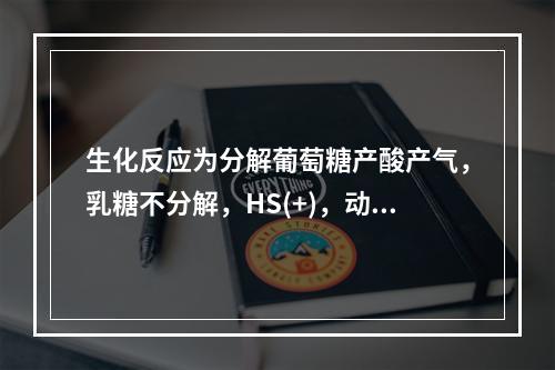 生化反应为分解葡萄糖产酸产气，乳糖不分解，HS(+)，动力(