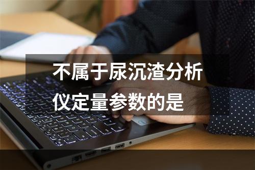 不属于尿沉渣分析仪定量参数的是