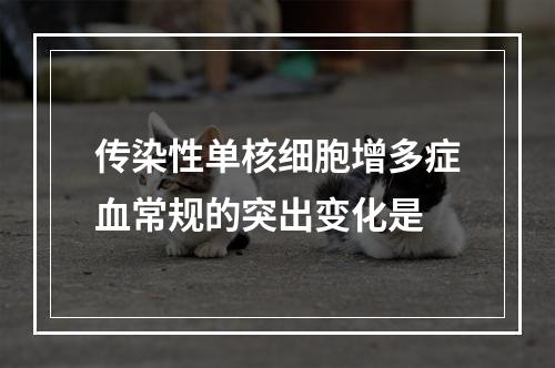 传染性单核细胞增多症血常规的突出变化是