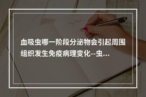 血吸虫哪一阶段分泌物会引起周围组织发生免疫病理变化--虫卵肉