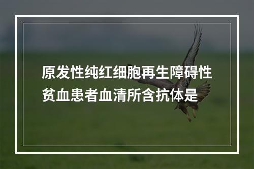 原发性纯红细胞再生障碍性贫血患者血清所含抗体是