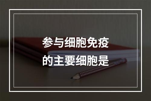 参与细胞免疫的主要细胞是