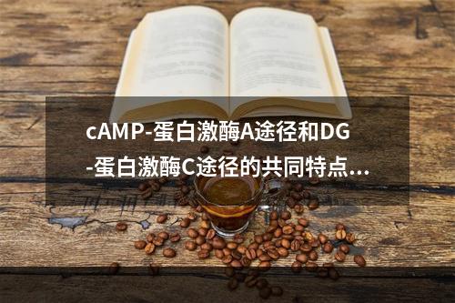 cAMP-蛋白激酶A途径和DG-蛋白激酶C途径的共同特点是