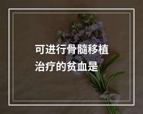 可进行骨髓移植治疗的贫血是