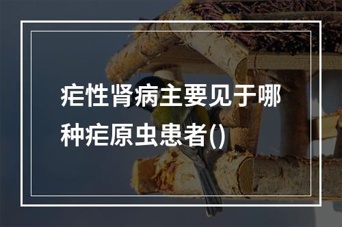 疟性肾病主要见于哪种疟原虫患者()