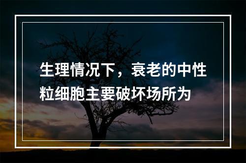 生理情况下，衰老的中性粒细胞主要破坏场所为