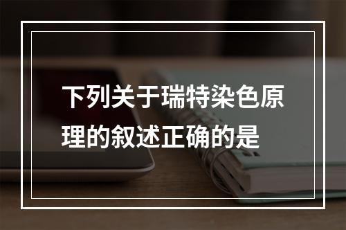 下列关于瑞特染色原理的叙述正确的是