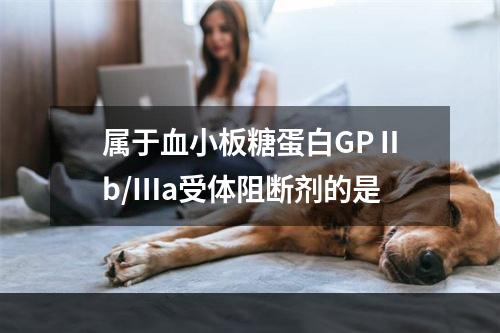 属于血小板糖蛋白GPⅡb/Ⅲa受体阻断剂的是