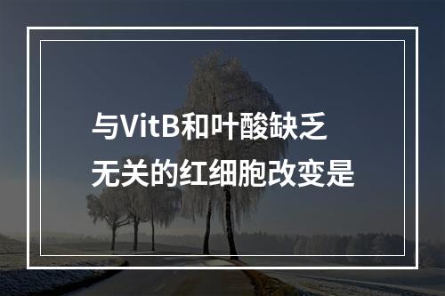 与VitB和叶酸缺乏无关的红细胞改变是