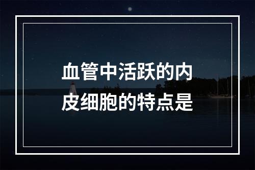 血管中活跃的内皮细胞的特点是