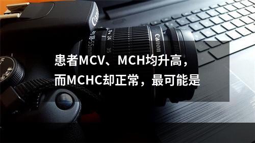 患者MCV、MCH均升高，而MCHC却正常，最可能是