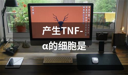 产生TNF-α的细胞是