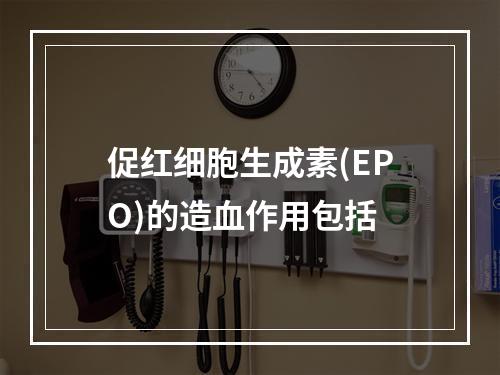 促红细胞生成素(EPO)的造血作用包括