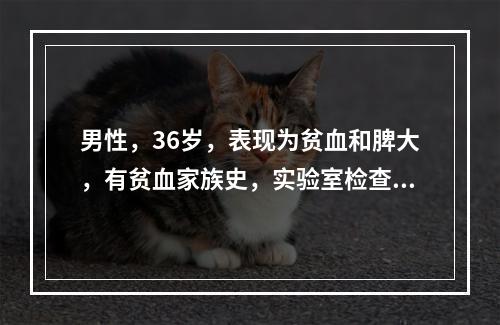 男性，36岁，表现为贫血和脾大，有贫血家族史，实验室检查红细