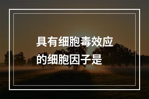 具有细胞毒效应的细胞因子是