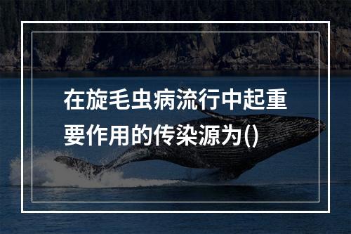 在旋毛虫病流行中起重要作用的传染源为()