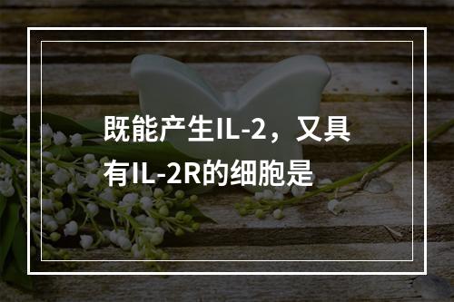 既能产生IL-2，又具有IL-2R的细胞是