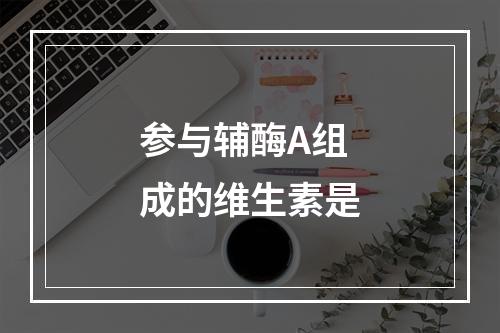 参与辅酶A组成的维生素是