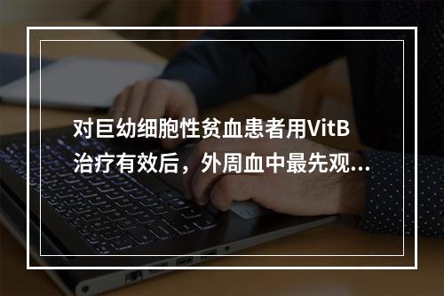 对巨幼细胞性贫血患者用VitB治疗有效后，外周血中最先观察到