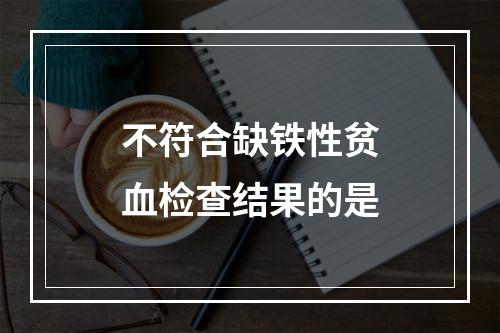 不符合缺铁性贫血检查结果的是