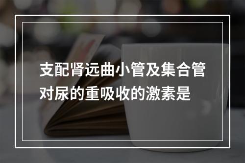 支配肾远曲小管及集合管对尿的重吸收的激素是