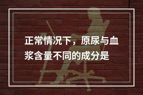 正常情况下，原尿与血浆含量不同的成分是