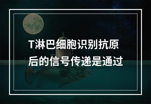 T淋巴细胞识别抗原后的信号传递是通过