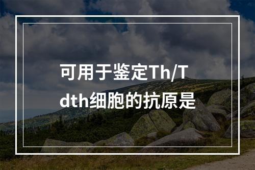 可用于鉴定Th/Tdth细胞的抗原是