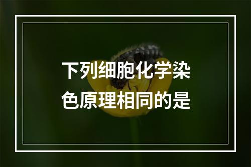 下列细胞化学染色原理相同的是