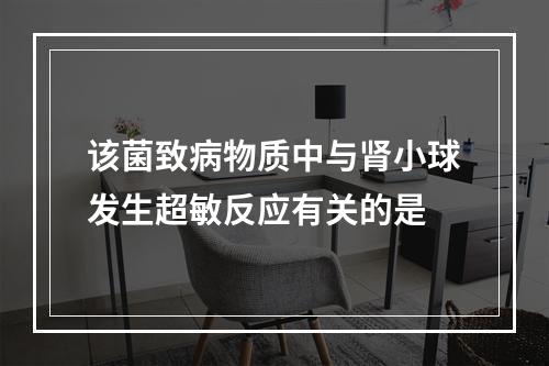 该菌致病物质中与肾小球发生超敏反应有关的是