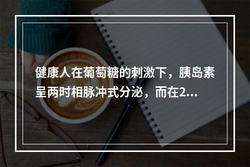 健康人在葡萄糖的刺激下，胰岛素呈两时相脉冲式分泌，而在2型糖