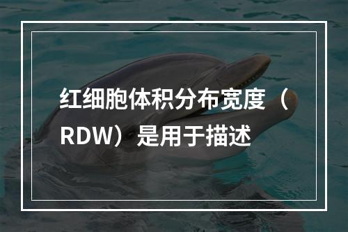 红细胞体积分布宽度（RDW）是用于描述