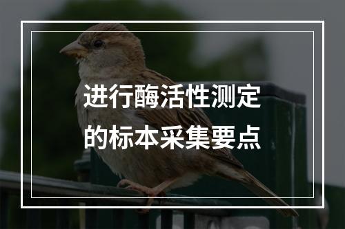 进行酶活性测定的标本采集要点