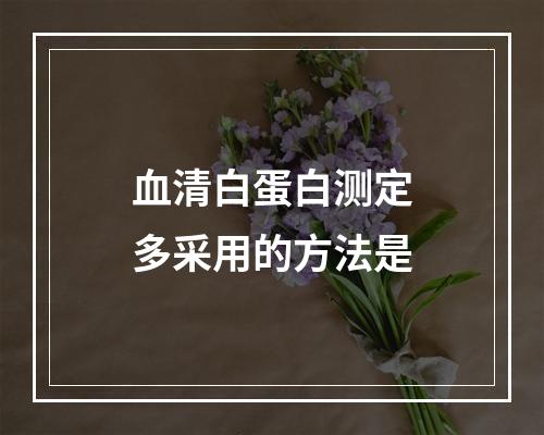 血清白蛋白测定多采用的方法是