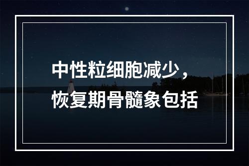 中性粒细胞减少，恢复期骨髓象包括