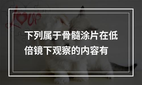 下列属于骨髓涂片在低倍镜下观察的内容有