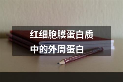 红细胞膜蛋白质中的外周蛋白