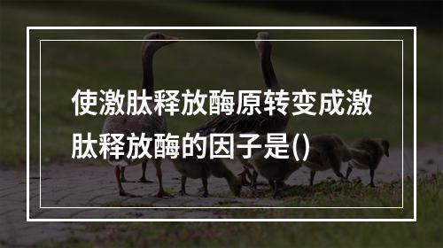 使激肽释放酶原转变成激肽释放酶的因子是()