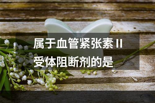 属于血管紧张素Ⅱ受体阻断剂的是