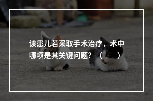 该患儿若采取手术治疗，术中哪项是其关键问题？（　　）