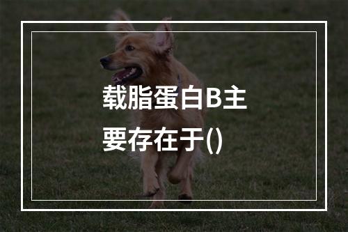 载脂蛋白B主要存在于()