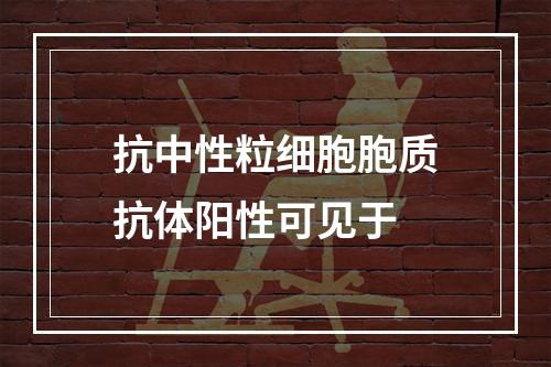 抗中性粒细胞胞质抗体阳性可见于