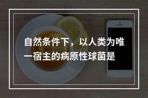 自然条件下，以人类为唯一宿主的病原性球菌是