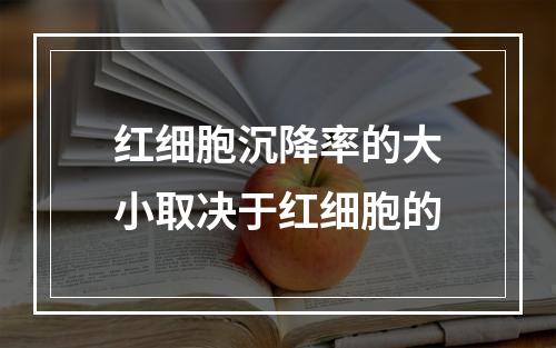 红细胞沉降率的大小取决于红细胞的