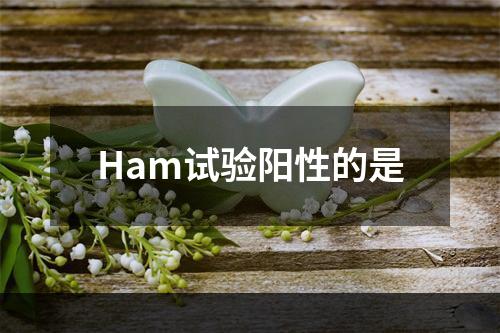 Ham试验阳性的是