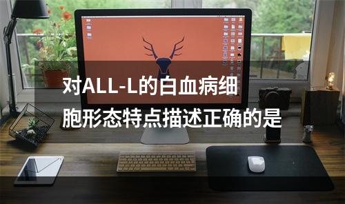 对ALL-L的白血病细胞形态特点描述正确的是