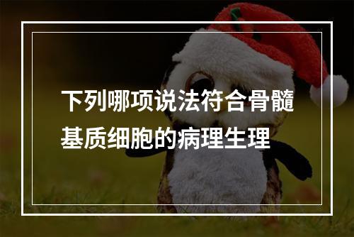 下列哪项说法符合骨髓基质细胞的病理生理