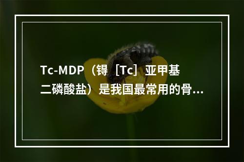 Tc-MDP（锝［Tc］亚甲基二磷酸盐）是我国最常用的骨显像