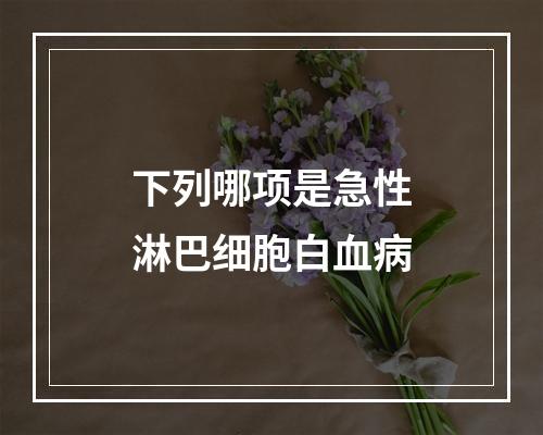 下列哪项是急性淋巴细胞白血病