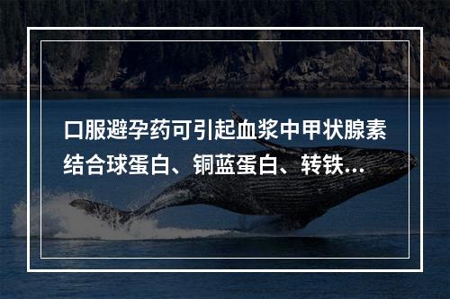 口服避孕药可引起血浆中甲状腺素结合球蛋白、铜蓝蛋白、转铁蛋白